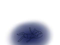 다섯 번째 이야기.