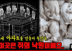 인구를 보고 난 후 우리가 봐야 할 입지