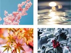 [inSANe] 사계절 2인 시나리오 연작