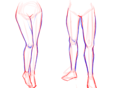 하체 연습(+뚱뚱한 체형)