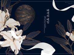 백색의 베일 개요