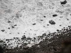 [소설] 해포커, Crawling in a crow line (35,415자)