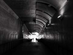 친애하는 박 씨 아저씨께.[진아우진]