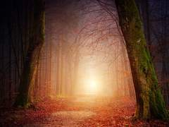 [늘탤] 가을, 그 끝