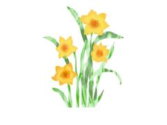 [청명소병]쓸모없는 가이드6