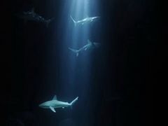 Mer dans les ténèbres(V)(clean ver.)