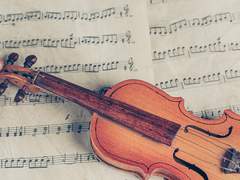 갈 곳을 잃어버린 가엾은