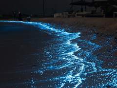 또다른 물음이라.