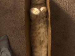 [시] 향이 사무칩니다.