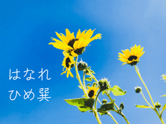 [히메타츠♀] はなれ 4