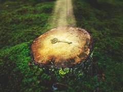 우울한 감정에 자주 빠진다면?