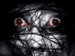 2H216) 그루지 2 (The Grudge 2, 2006)