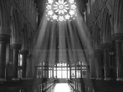 ☐☐도 당신을 ☐☐합니다.