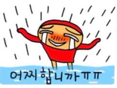 비프언젠가는제대로짜겟음