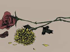 세리레이/ 레트로 연인