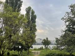 여름, 캔 콜라, 전화번호