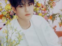 세븐틴 김민규 사주 (무인일주, 진월무토)