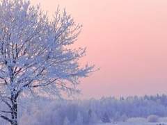 백강인우/남자/인간