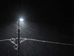 [벨프랑] The first snow