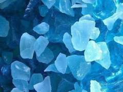 의심많은 고슴도치처럼