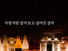 樹欲靜而風不止