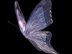 하나뿐인 인생 아름답게 살아가는 방법