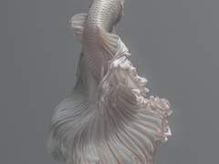 Rien n‘est éternel