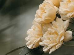 그 흑요정의 간호법