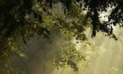 Gryffindor/Raymond S. Fudge/xy/혼혈