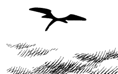 사과 나무 위의 용