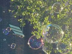 내게 늘 다정했던 네게