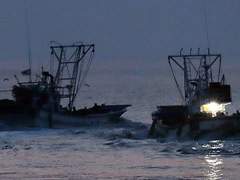 현장 2팀 354번 업무 일지