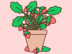 [카톡테마] - Strawberry(안드로이드/IOS)