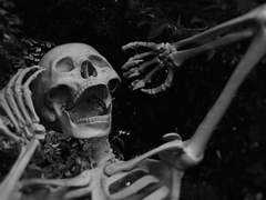 악동이 돌아왔다!