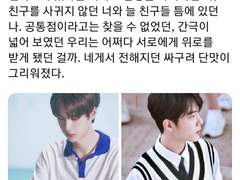 백업/싸구려 단맛