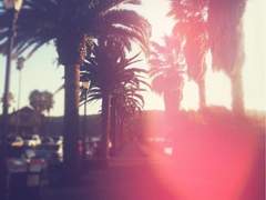 너의뼈를 안고서는하와이에 갈수없다