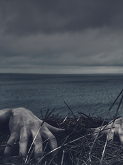 가온중 apocalypse