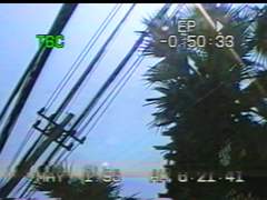 뜨거운여름밤은가고남은건볼품없지만