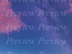 🦄 아름다움과 사랑, 매력을 위한 시길 (부적) 배경화면