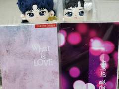 늦은 온리전 후기