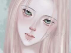 유료분양 경매분양