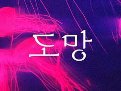 『︎ 도망 』︎