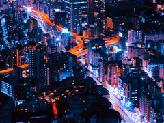 경찰과 도둑 / #1