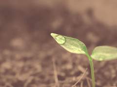 희망과 행복의 종착점