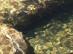 잘자고끼니잘챙기고정신줄꽉잡고착하게살기