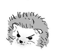 가면라이더 백업 4