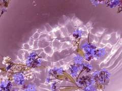 청화집 {0화.프롤로그}