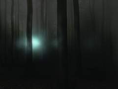 ✉️무명의 그대에게👹