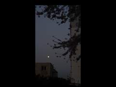 모든 것이 소멸해도 그가 남는다면