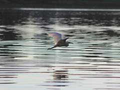 어쨌든, 아직 많이 남았다고